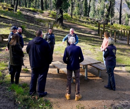 RECOVERY CONTINUES AT MOUNT BUANGOR STATE PARK Main Image